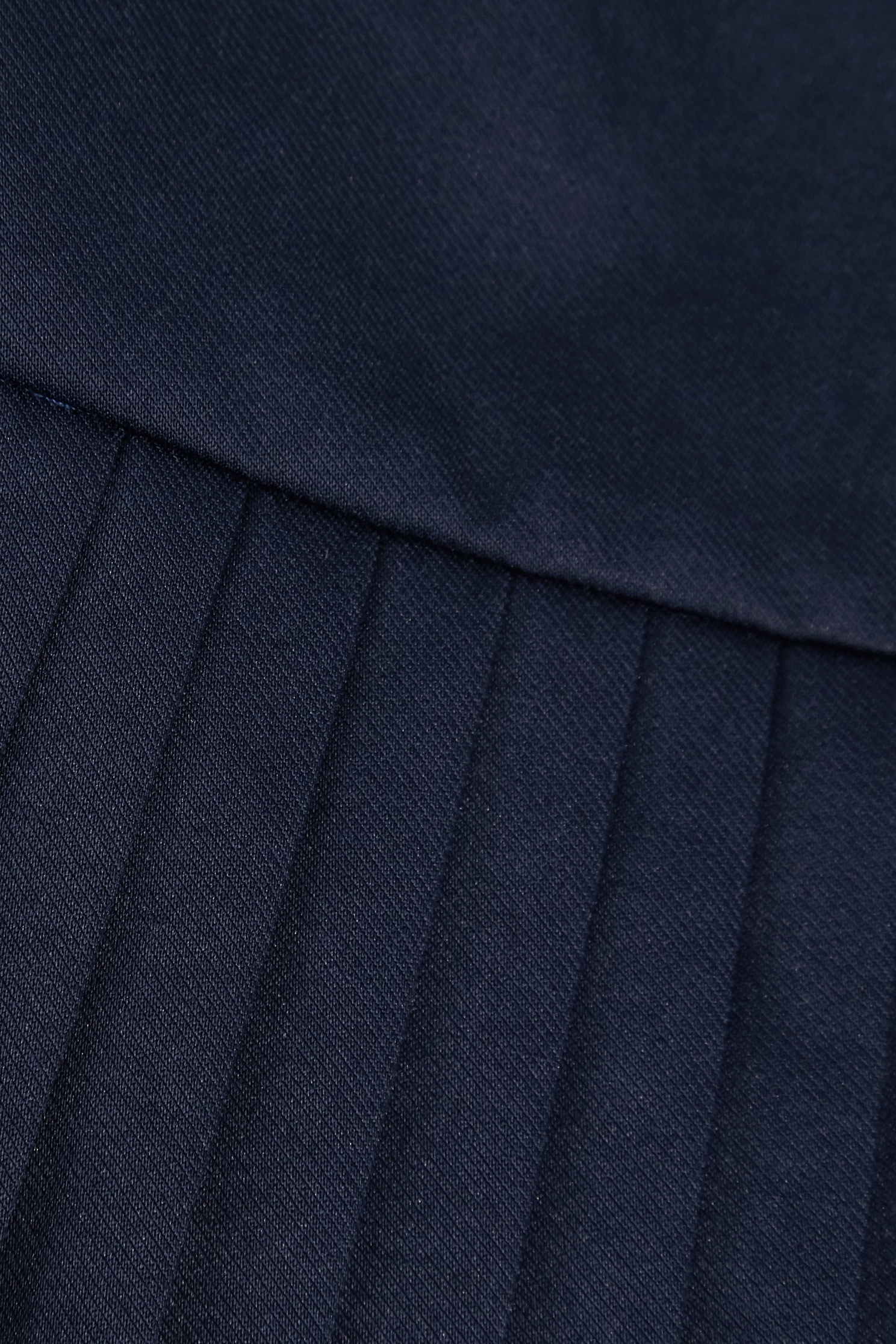 Navy Pleated Layered SkirtNavy Pleated Layered Skirt,Pleated skirts,Season (AW) Look