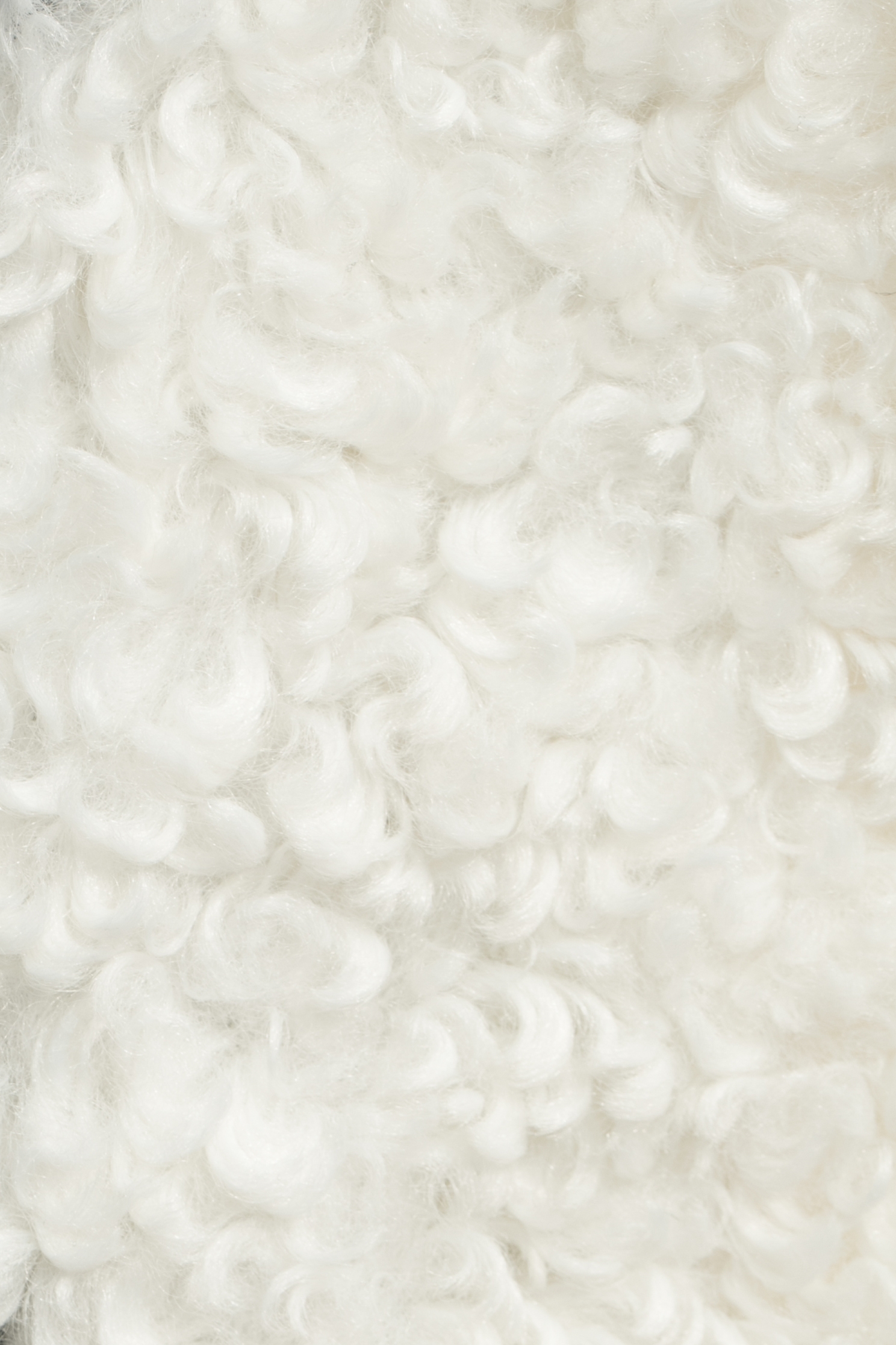 Faux Fur Vest With Contrast Trim DetailFaux Fur Vest With Contrast Trim Detail,sleeveless tops,pearl,Leather,Season (AW) Look