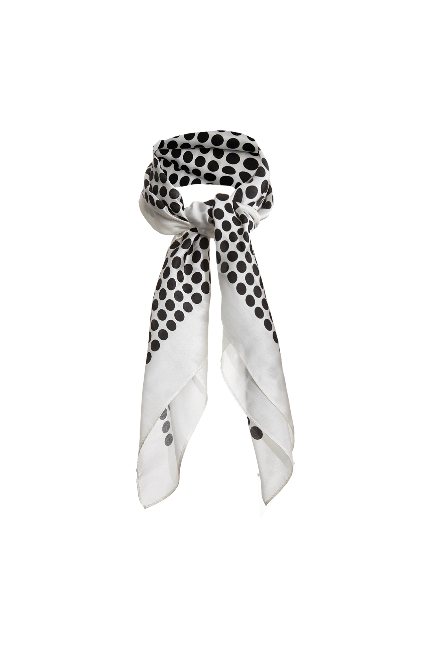 Classic Polka Dot ScarfClassic Polka Dot Scarf,dotcollection,Season (AW) Look