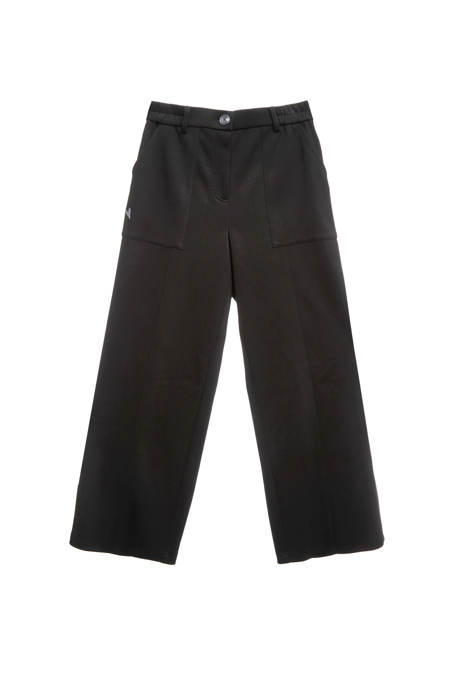 Straight Cut Casual PantsStraight Cut Casual Pants,Embroidered,Culottes,Season (SS) Look,pants,Black pants