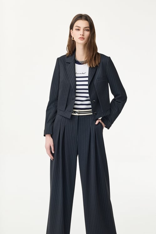 Pinstripe Navy Crop Blazer,Long sleeve outerwear