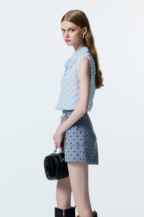 Dotted Embroidery Plaid Shorts,dotcollection