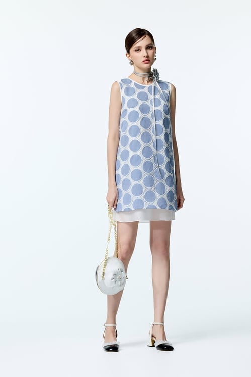 Polka Dot Embroidery Sleeveless Dress,Lace