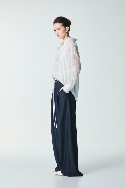 Shirring Sleeve Button Front Blouse,Embroidered,Embroidered