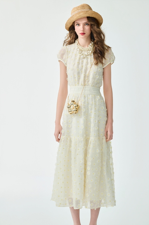 Floral Lace Short Sleeve Dress,,Floral Lace Short Sleeve Dress,Dresses,Embroidered,Season (SS) Look