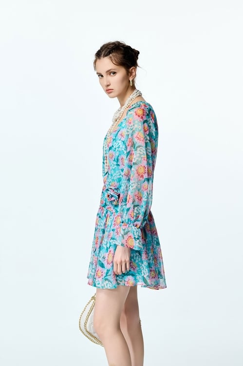 Floral Print Long Sleeve Short Dress,Chiffon