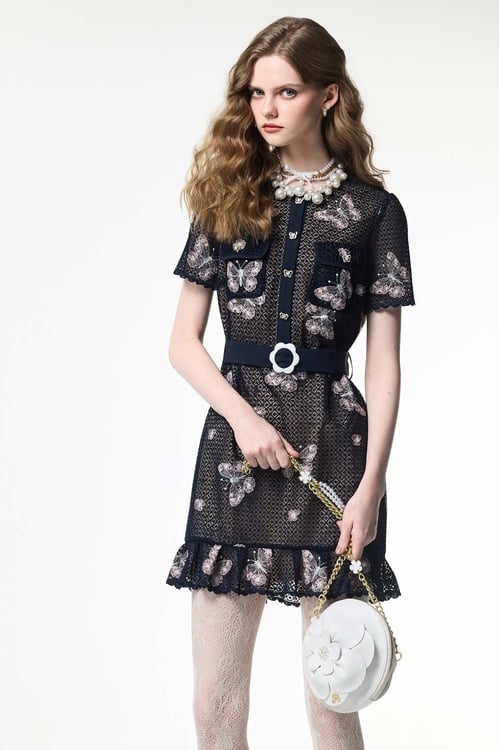 Butterfly Embridery Detail Lace Dress,Embroidered,Embroidered