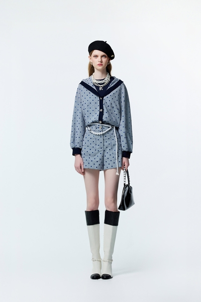 Dotted Embroidery Plaid Shorts