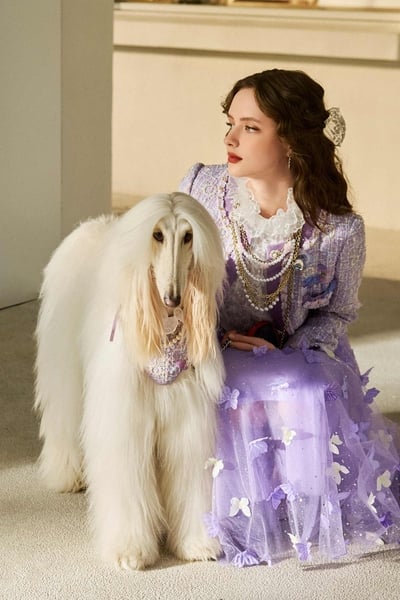 Butterfly Motif Purple Tweed Jacket